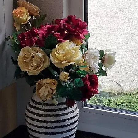 Inteck Casa de hóspedes